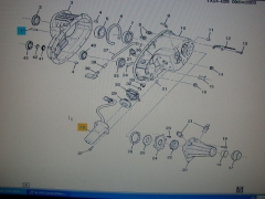 Stellmotor  Allradzuschaltung - Actuator Transfer  Trailblazer  02-09